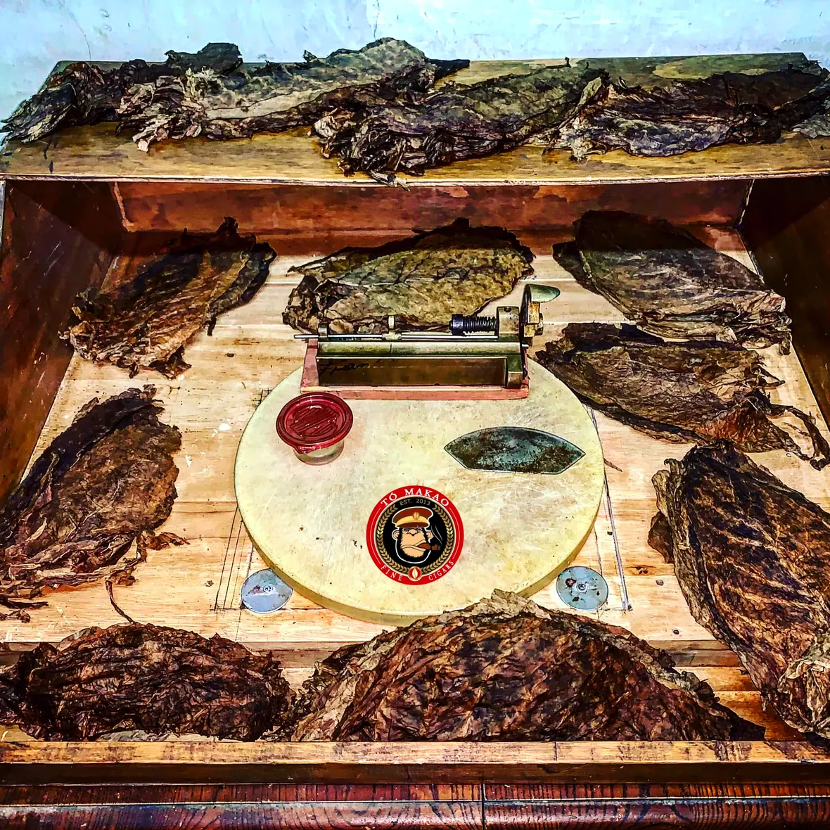 The Celani and Cigar Family foundations, Detroit